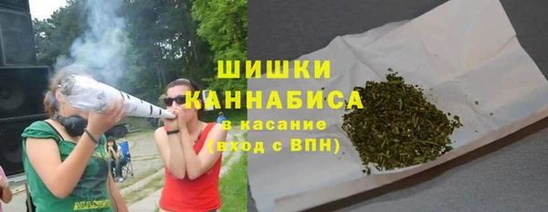 сатива Нязепетровск