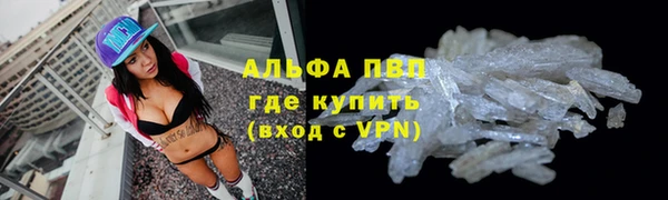 сатива Нязепетровск